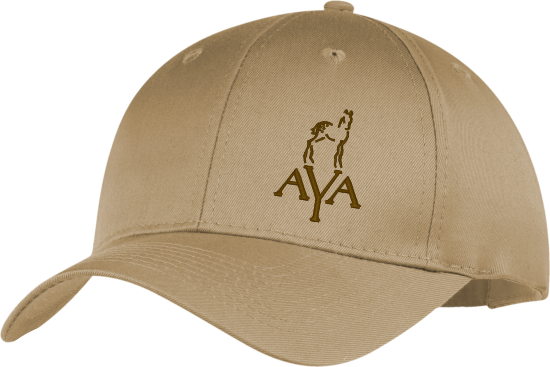 AYA Structured Hat