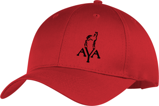 AYA Structured Hat